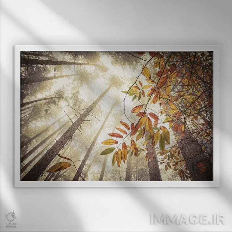 تابلو ارتفاعات مهآلود پاییزی اثر آلیسون فنل - نمای قابدار سفید