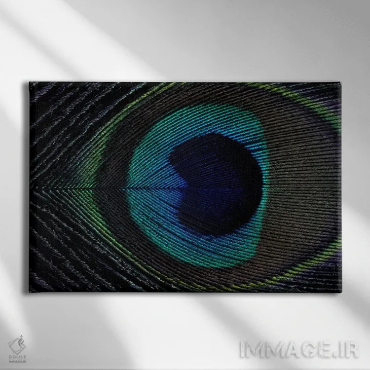 تابلو پر طاووس ۱ اثر آلیسون فنل - نمای روبهرو روی دیوار