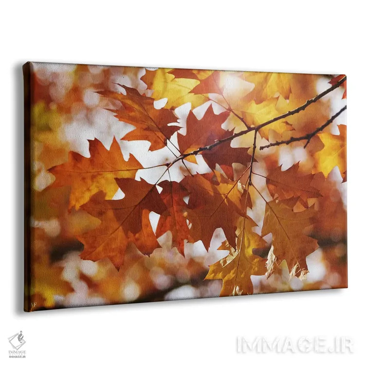 تابلو برگهای بلوط پاییزی اثر آلیسون فنل - نمای پرسپکتیو محصول