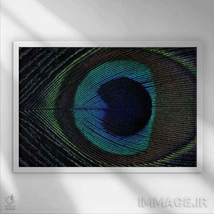 تابلو پر طاووس ۱ اثر آلیسون فنل - نمای قابدار سفید