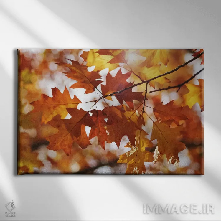 تابلو برگهای بلوط پاییزی اثر آلیسون فنل - نمای روبهرو روی دیوار