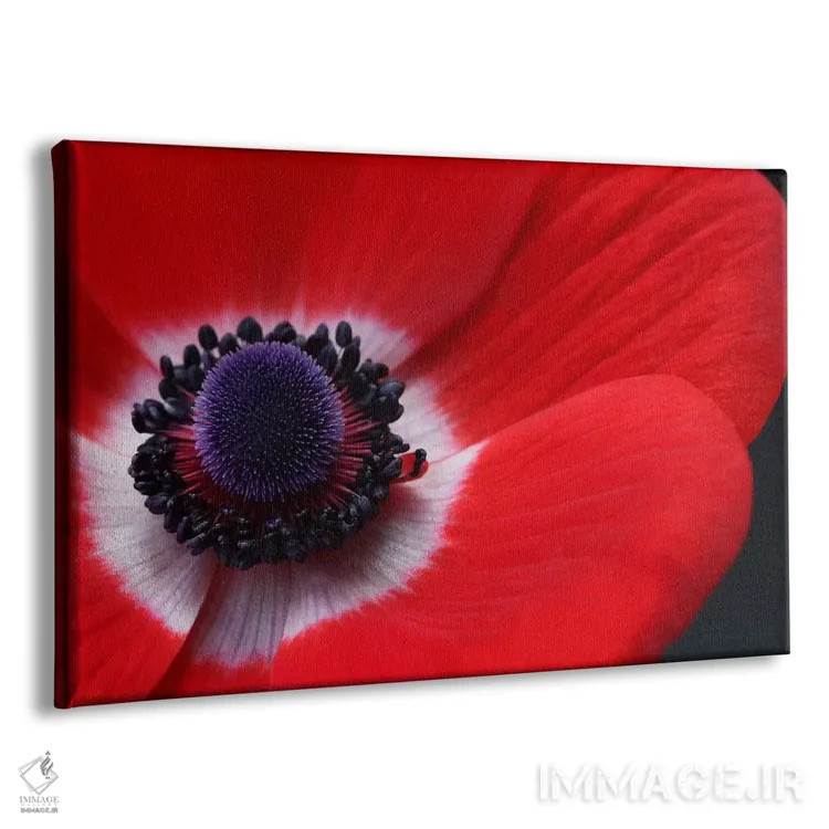 تابلو شقایق قرمز اثر آلیسون فنل - نمای پرسپکتیو محصول