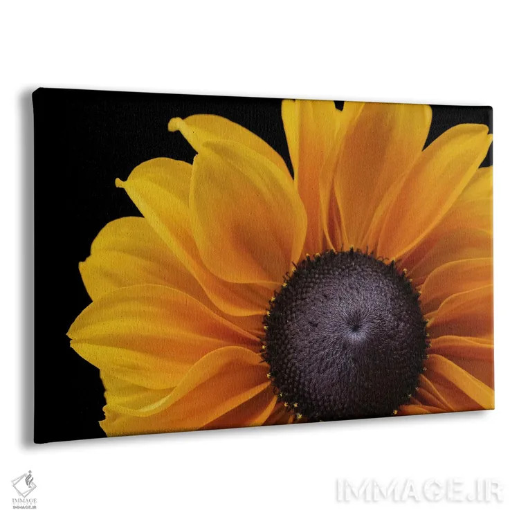 تابلو رودبکیا "تابستان هندی" (نوعی گل) اثر آلیسون فنل - نمای پرسپکتیو محصول