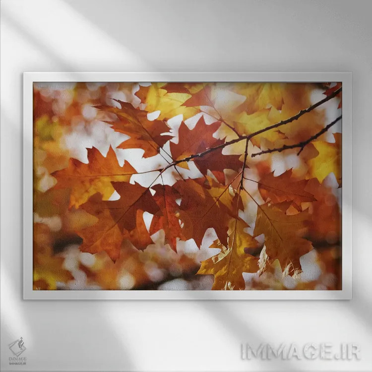 تابلو برگهای بلوط پاییزی اثر آلیسون فنل - نمای قابدار سفید