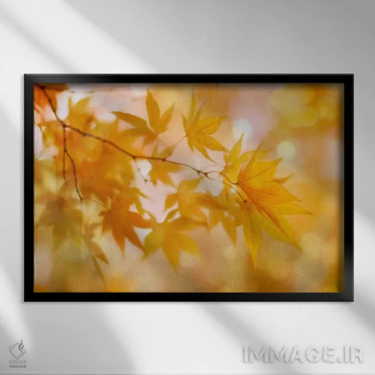 تابلو برگهای پاییزی هلوگون اثر آلیسون فنل - نمای قابدار مشکی