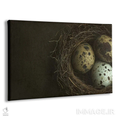 تابلو نمای نزدیک لانه پرنده و تخم بلدرچین اثر آلیسون فنل - نمای پرسپکتیو محصول