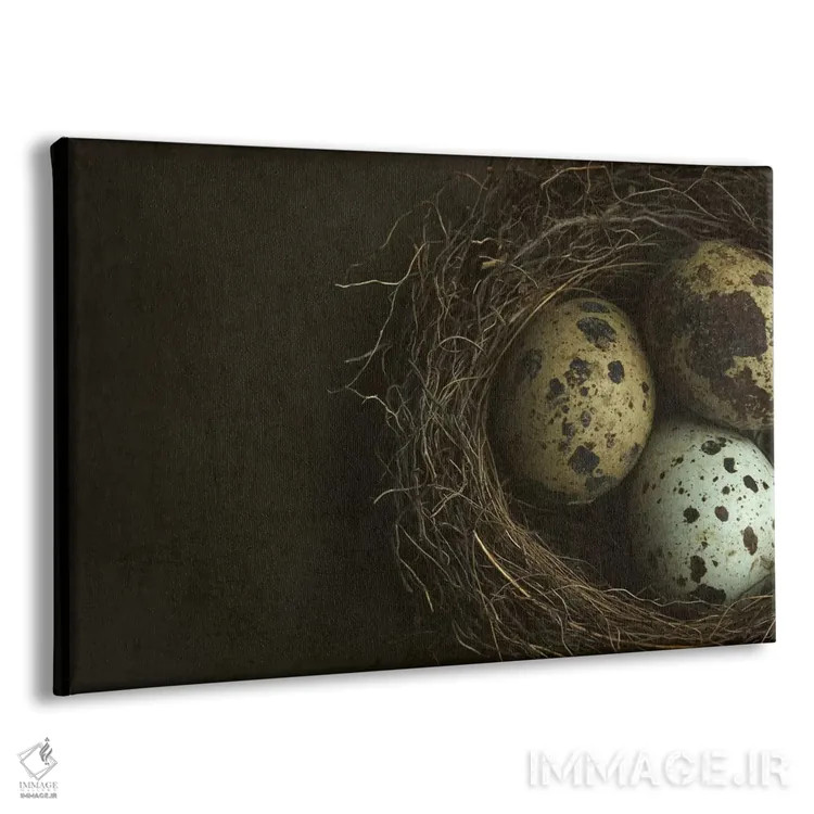 تابلو نمای نزدیک لانه پرنده و تخم بلدرچین اثر آلیسون فنل - نمای پرسپکتیو محصول