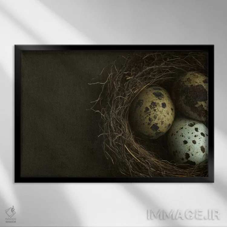 تابلو نمای نزدیک لانه پرنده و تخم بلدرچین اثر آلیسون فنل - نمای قابدار مشکی