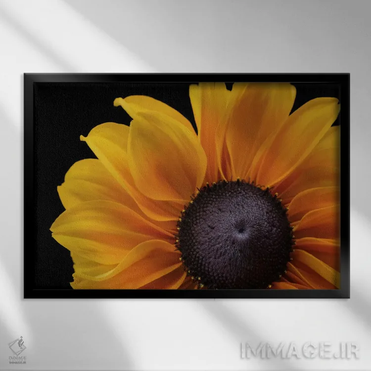 تابلو رودبکیا "تابستان هندی" (نوعی گل) اثر آلیسون فنل - نمای قابدار مشکی