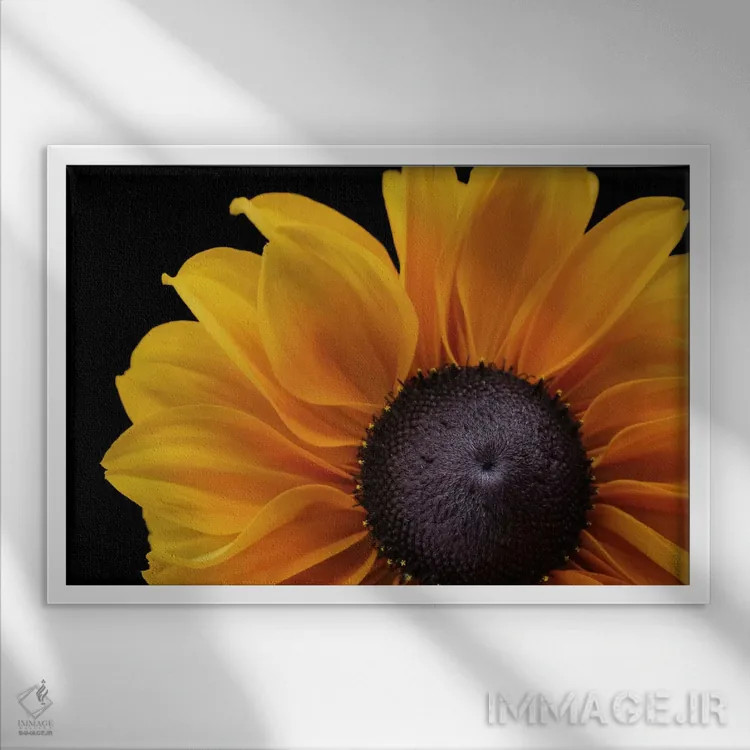 تابلو رودبکیا "تابستان هندی" (نوعی گل) اثر آلیسون فنل - نمای قابدار سفید