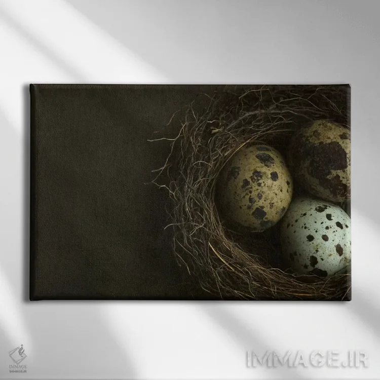 تابلو نمای نزدیک لانه پرنده و تخم بلدرچین اثر آلیسون فنل - نمای روبهرو روی دیوار