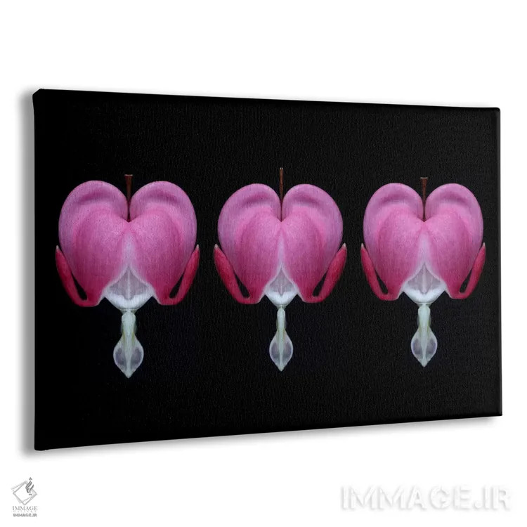 تابلو سهتایی قلب خونین (گل قلب خونین) اثر آلیسون فنل - نمای پرسپکتیو محصول