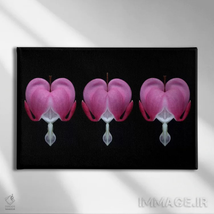 تابلو سهتایی قلب خونین (گل قلب خونین) اثر آلیسون فنل - نمای روبهرو روی دیوار