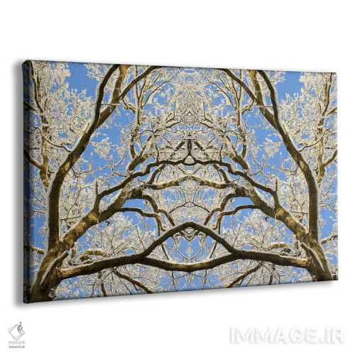 تابلو تقارن نوک درختان پوشیده از برف اثر آلیسون فنل - نمای پرسپکتیو محصول