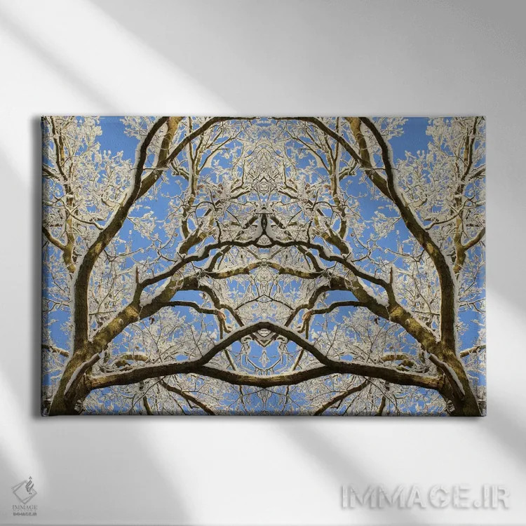 تابلو تقارن نوک درختان پوشیده از برف اثر آلیسون فنل - نمای روبهرو روی دیوار