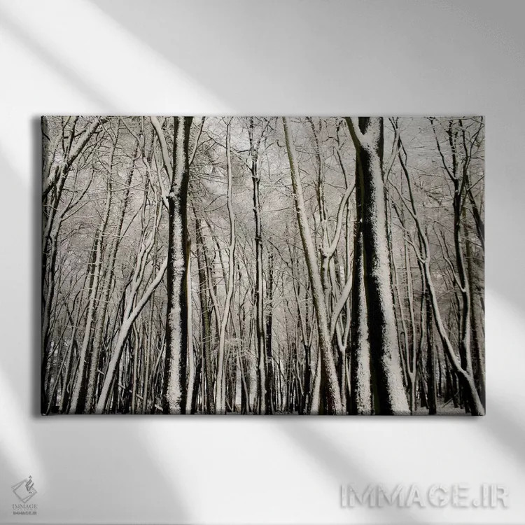 تابلو درختان پوشیده از برف اثر آلیسون فنل - نمای روبهرو روی دیوار