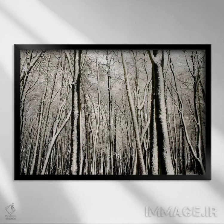 تابلو درختان پوشیده از برف اثر آلیسون فنل - نمای قابدار مشکی