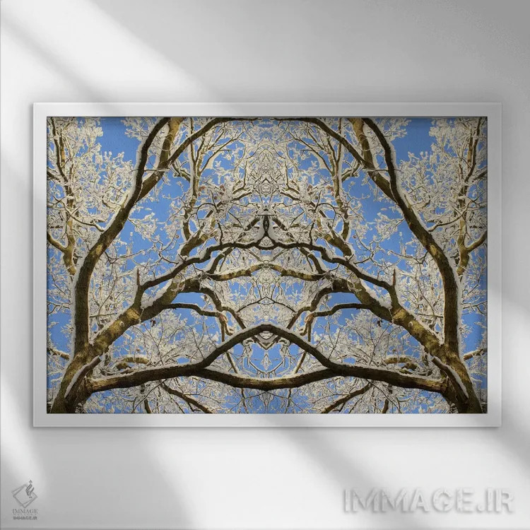 تابلو تقارن نوک درختان پوشیده از برف اثر آلیسون فنل - نمای قابدار سفید