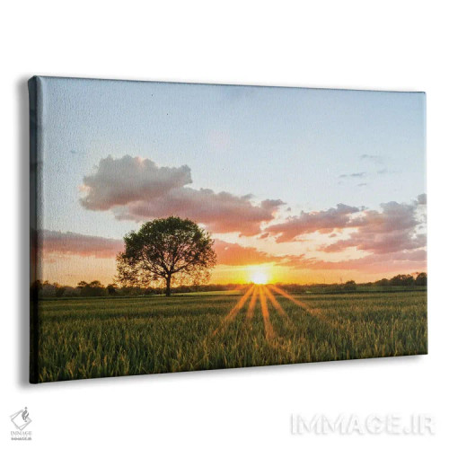 تابلو درخت تنها اثر فابیان فورتمن - نمای پرسپکتیو محصول