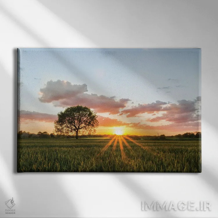 تابلو درخت تنها اثر فابیان فورتمن - نمای روبهرو روی دیوار