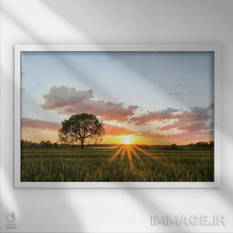 تابلو درخت تنها اثر فابیان فورتمن - نمای قابدار سفید