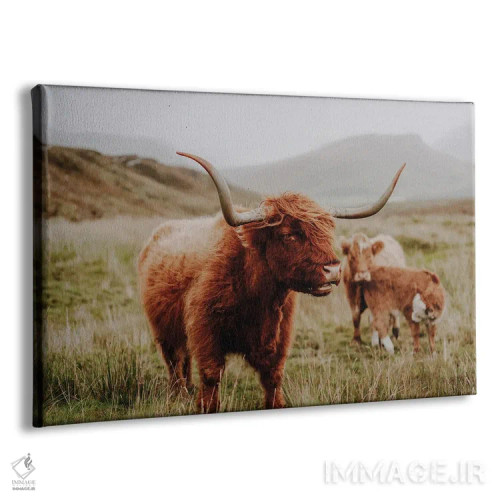 تابلو گاو کوهستانی چهار اثر فابیان فورتمن - نمای پرسپکتیو محصول