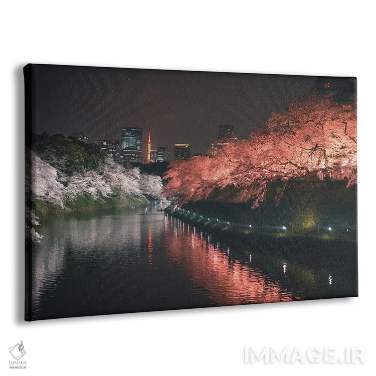 تابلو شکوفههای گیلاس توکیو در شب چهار اثر فابیان فورتمن - نمای پرسپکتیو محصول