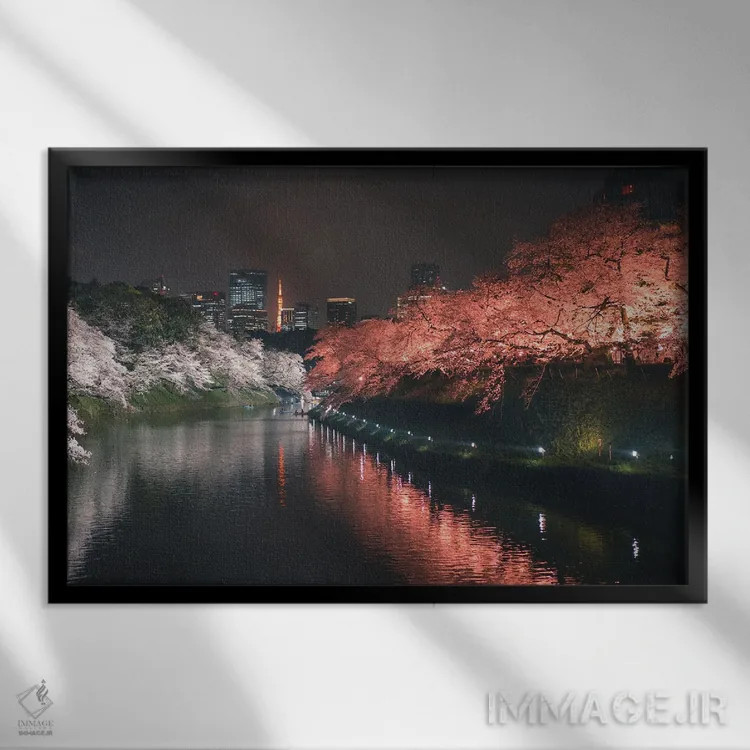 تابلو شکوفههای گیلاس توکیو در شب چهار اثر فابیان فورتمن - نمای قابدار مشکی