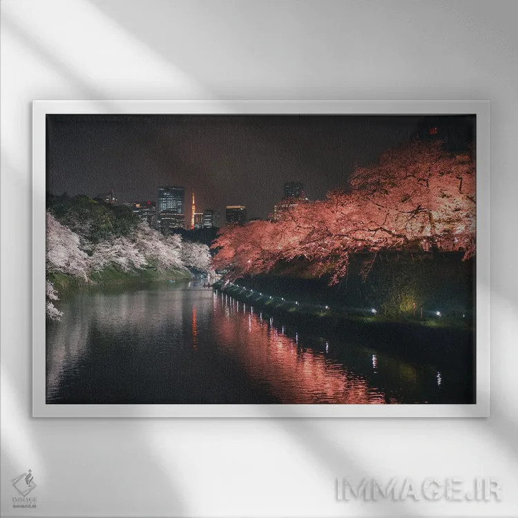 تابلو شکوفههای گیلاس توکیو در شب چهار اثر فابیان فورتمن - نمای قابدار سفید