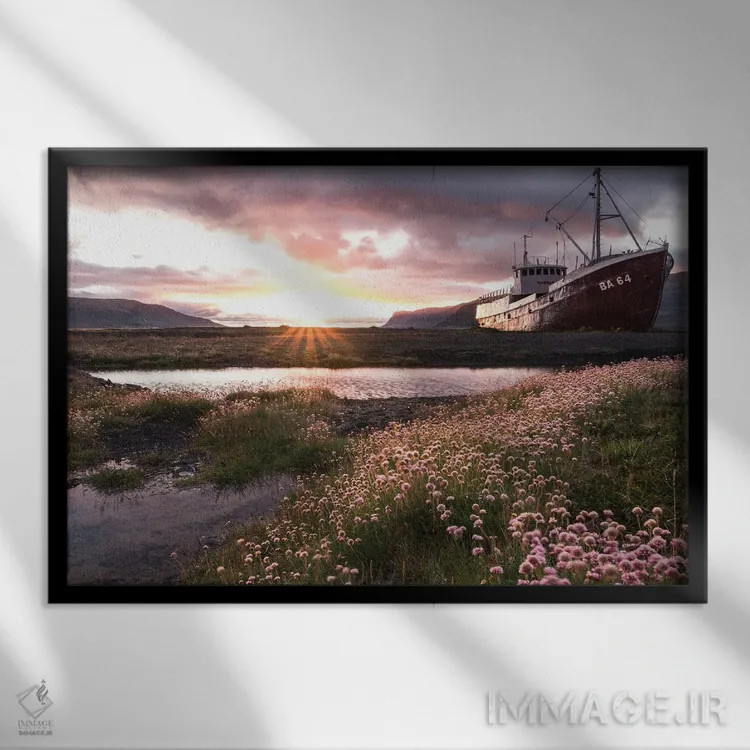 تابلو مسیر گلها اثر فابیان فورتمن - نمای قابدار مشکی