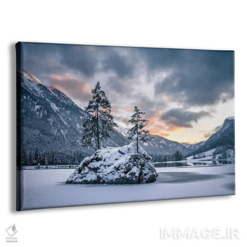 تابلو جزیرهٔ زمستانی اثر فابیان فورتمن - نمای پرسپکتیو محصول