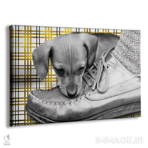 تابلو وسیلهٔ حمل مورد علاقهام اثر فایو بای فایو کالکتیو - نمای پرسپکتیو محصول