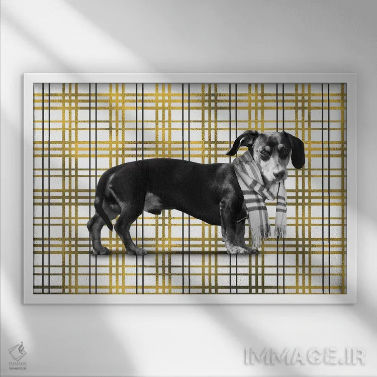 تابلو جای راحت برای چرت زدن اثر فایو بای فایو کالکتیو - نمای قابدار سفید