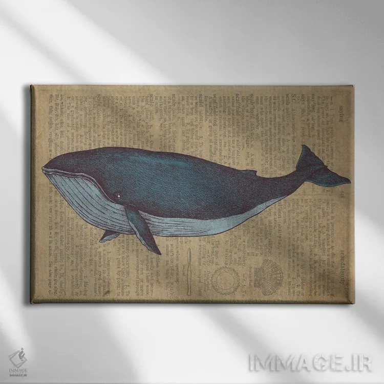 تابلو طرح نهنگ قدیمی روی کاغذ اثر فیشرکرافت (استودیوی خلاقانه) - نمای روبهرو روی دیوار