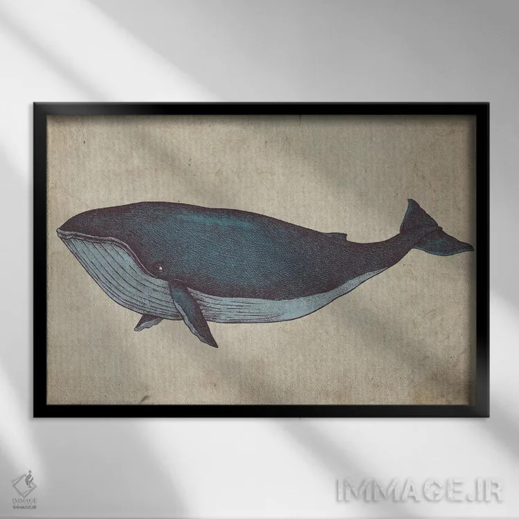 تابلو طرح نهنگ قدیمی اثر فیشرکرافت (استودیوی خلاقانه) - نمای قابدار مشکی