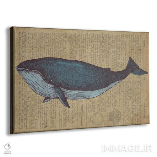 تابلو طرح نهنگ قدیمی روی کاغذ اثر فیشرکرافت (استودیوی خلاقانه) - نمای پرسپکتیو محصول