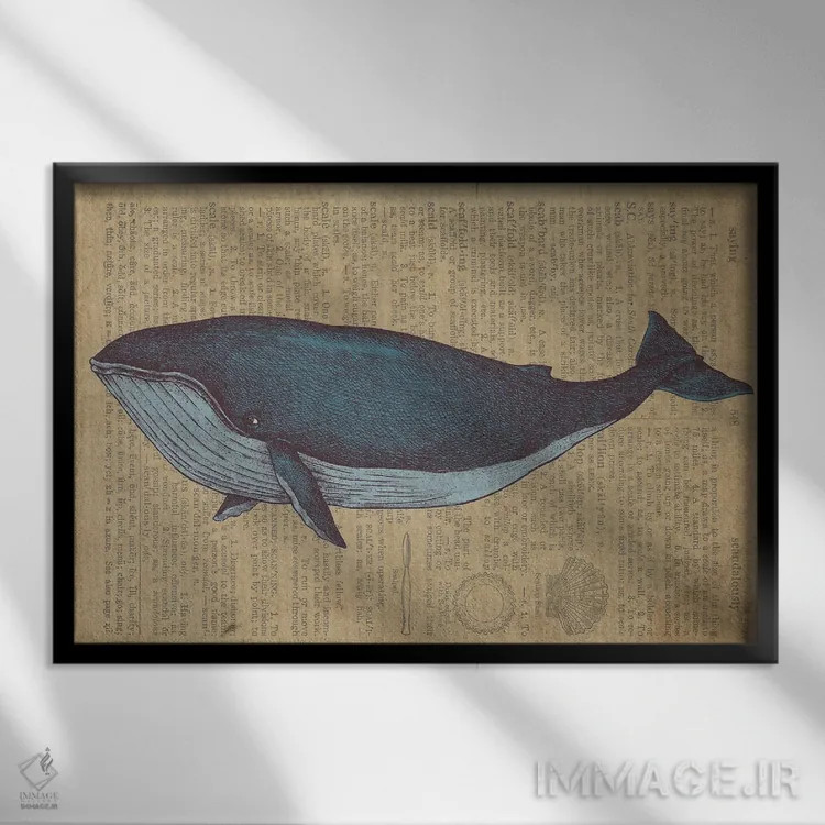 تابلو طرح نهنگ قدیمی روی کاغذ اثر فیشرکرافت (استودیوی خلاقانه) - نمای قابدار مشکی