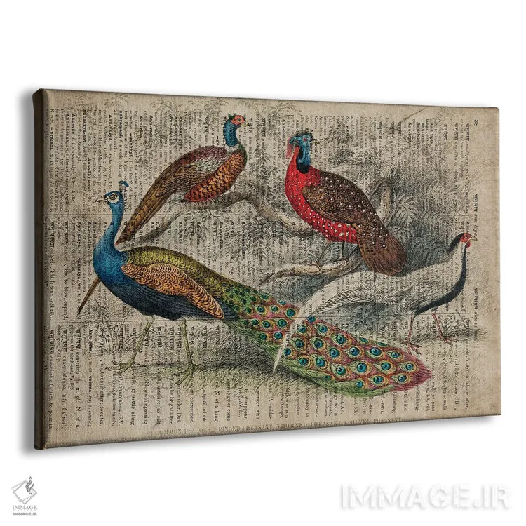 تابلو پرندگان الیور گلدسمیت اثر فیشرکرافت (استودیوی خلاقانه) - نمای پرسپکتیو محصول