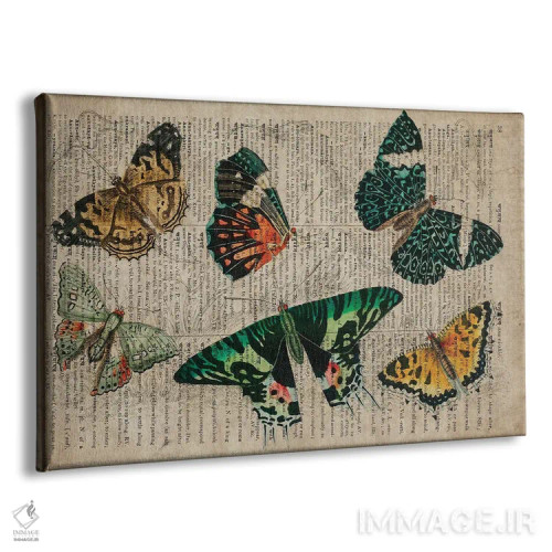 تابلو پروانههای الیور گلدسمیت اثر فیشرکرافت (استودیوی خلاقانه) - نمای پرسپکتیو محصول