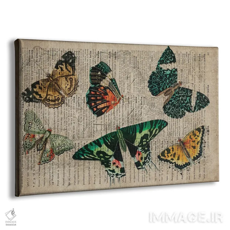 تابلو پروانههای الیور گلدسمیت اثر فیشرکرافت (استودیوی خلاقانه) - نمای پرسپکتیو محصول