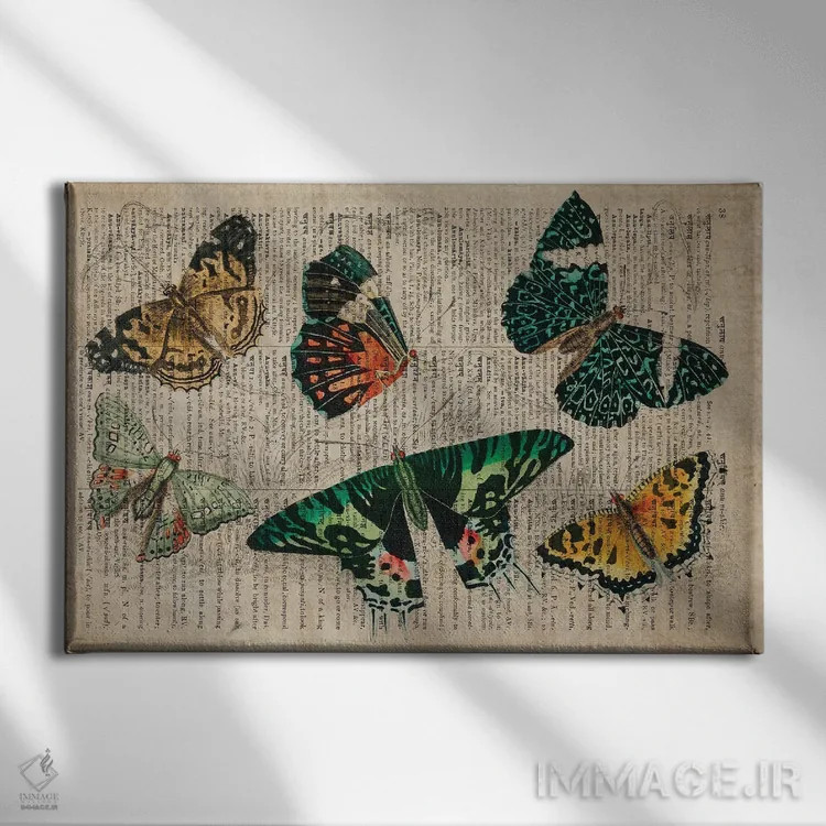 تابلو پروانههای الیور گلدسمیت اثر فیشرکرافت (استودیوی خلاقانه) - نمای روبهرو روی دیوار