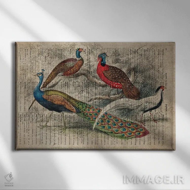 تابلو پرندگان الیور گلدسمیت اثر فیشرکرافت (استودیوی خلاقانه) - نمای روبهرو روی دیوار