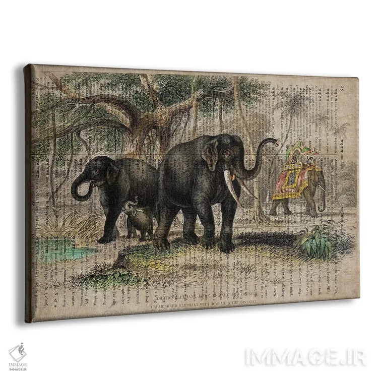 تابلو فیلهای الیور گلدسمیت اثر فیشرکرافت (استودیوی خلاقانه) - نمای پرسپکتیو محصول