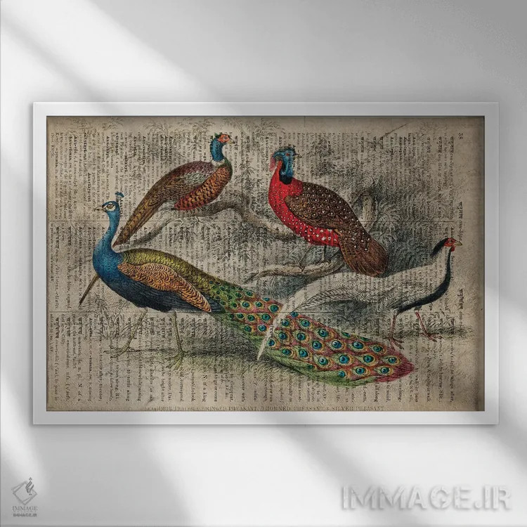 تابلو پرندگان الیور گلدسمیت اثر فیشرکرافت (استودیوی خلاقانه) - نمای قابدار سفید