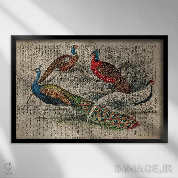 تابلو پرندگان الیور گلدسمیت اثر فیشرکرافت (استودیوی خلاقانه) - نمای قابدار مشکی