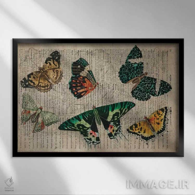 تابلو پروانههای الیور گلدسمیت اثر فیشرکرافت (استودیوی خلاقانه) - نمای قابدار مشکی