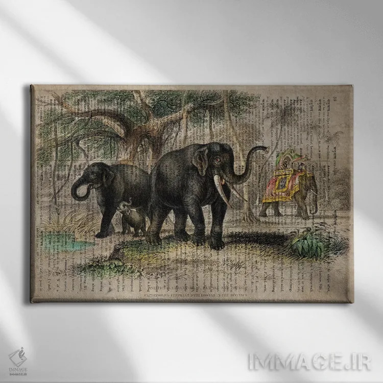 تابلو فیلهای الیور گلدسمیت اثر فیشرکرافت (استودیوی خلاقانه) - نمای روبهرو روی دیوار