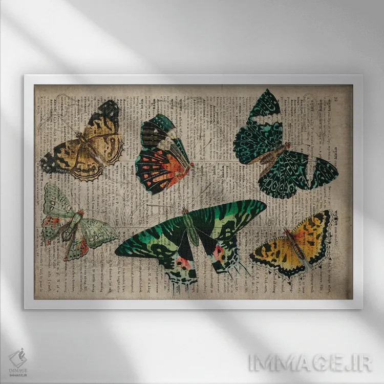تابلو پروانههای الیور گلدسمیت اثر فیشرکرافت (استودیوی خلاقانه) - نمای قابدار سفید