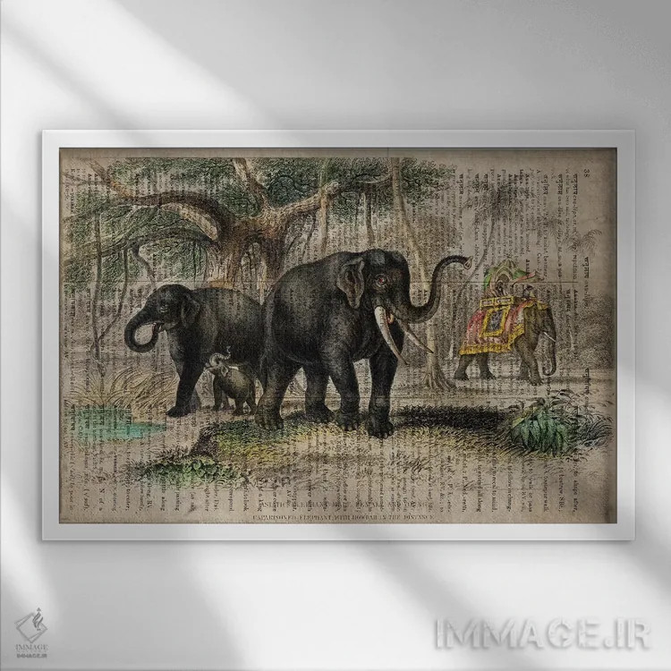 تابلو فیلهای الیور گلدسمیت اثر فیشرکرافت (استودیوی خلاقانه) - نمای قابدار سفید