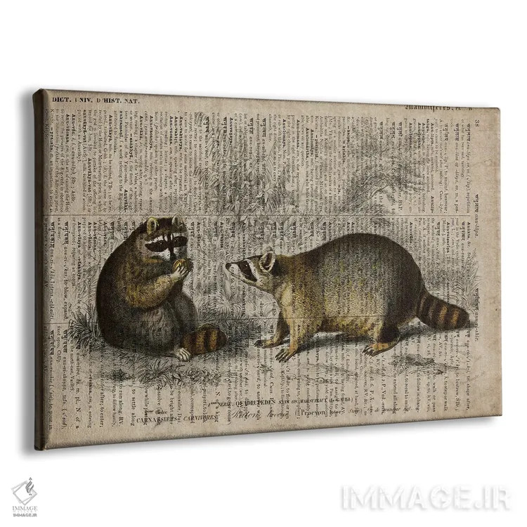 تابلو راکونها (فرهنگ لغت عمومی فرانسوی) اثر فیشرکرافت (استودیوی خلاقانه) - نمای پرسپکتیو محصول